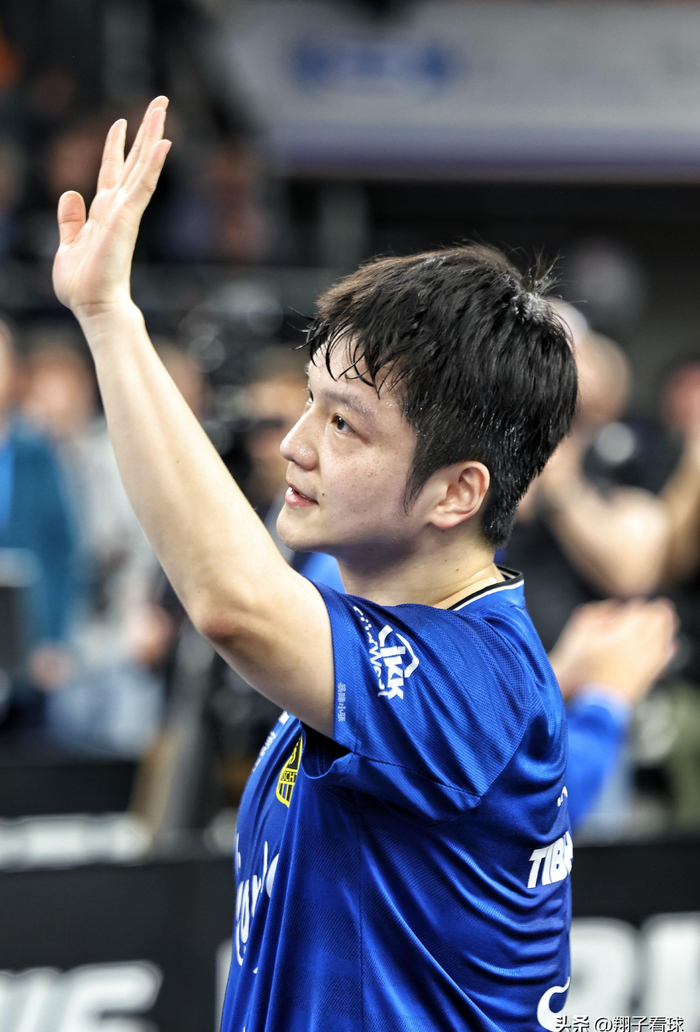 樊振东德甲转会杜塞尔多夫 深度解析留洋背后战