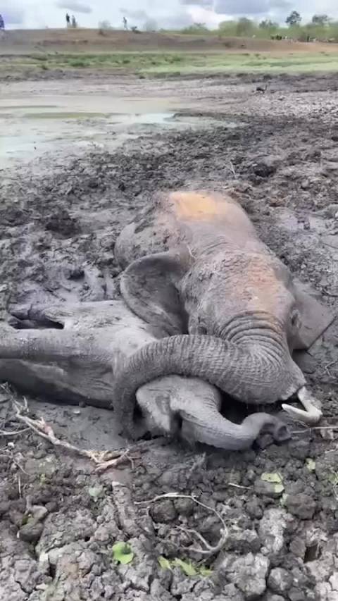 深圳男篮大胜天津豪取六连胜 詹姆斯复出助湖人